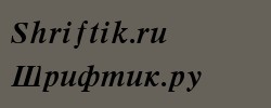 Times Bold Italic 